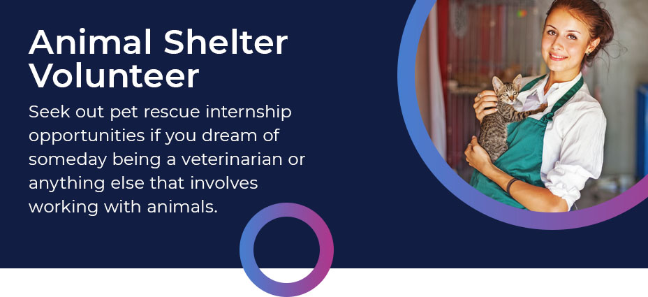 animal shelter volunteer quote