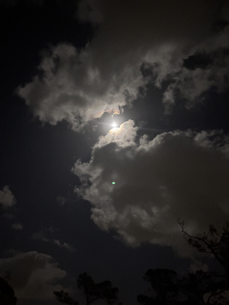 Bright full moon glowing behind thick, dramatic clouds in a dark night sky. The moonlight creates a glowing halo effect as it breaks through the cloud cover, with faint silhouettes of tree branches visible at the bottom edge. The contrast between light and shadow gives the scene a mysterious and atmospheric mood.