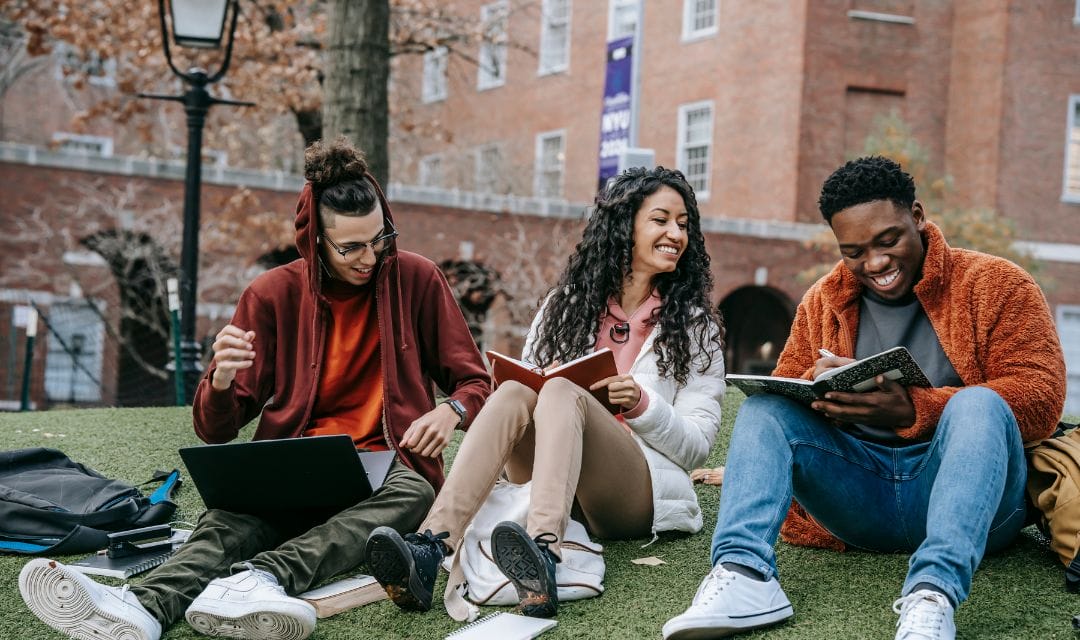 Higher education students