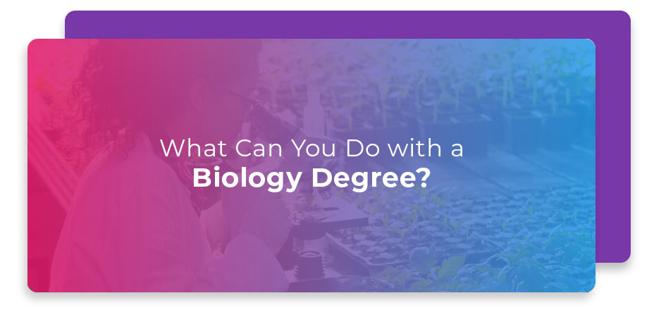 What To Do After Getting Biology Degree