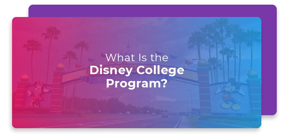 What Is the Disney College Program